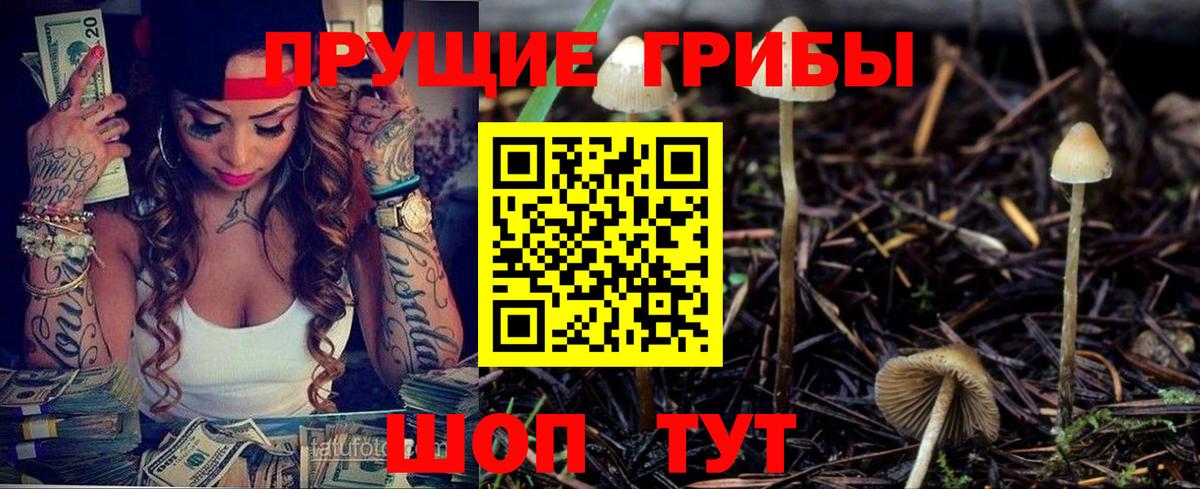 Псилоцибиновые грибы Cubensis Истра