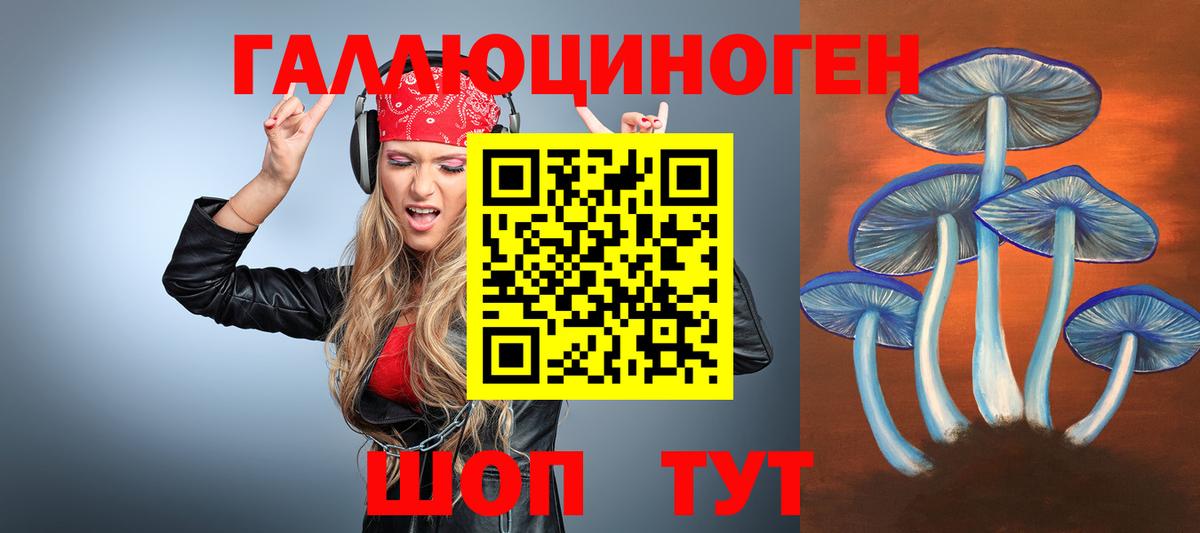 Псилоцибиновые грибы Psilocybine cubensis  Вход с VPN  Галлюциногенные грибы прущие грибы  Истра 